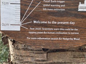 The shock of our impact