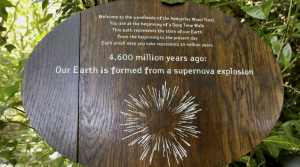 Our Walk begins at Hedgerley Wood