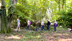 A local walkers group