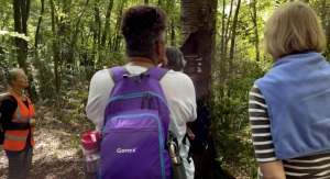 Arriving at the last 2 centimetres