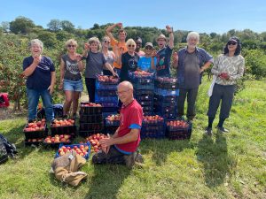Some of our volunteers at a plum and apple glean