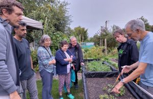 Learning about why raised beds might be beneficial